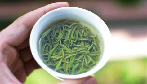 毛尖(毛尖茶葉圖片)縮略圖