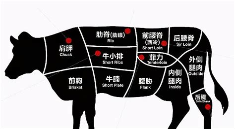 西冷牛排是什么意思,西冷牛排是什么意思啊縮略圖