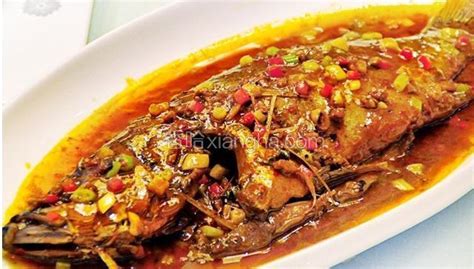 臭桂魚(臭桂魚是哪里的特產)縮略圖