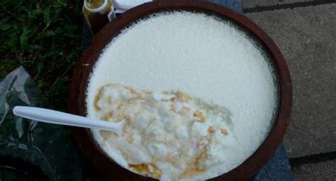 水牛奶的功效與作用(水牛奶的功效與作用禁忌)縮略圖