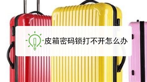箱子密碼鎖打不開怎么辦,行李箱密碼鎖打不開怎么辦縮略圖