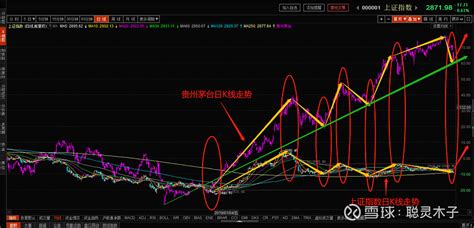 貴州茅臺今日股價上證指數(貴州茅臺今日行情上證指數)縮略圖