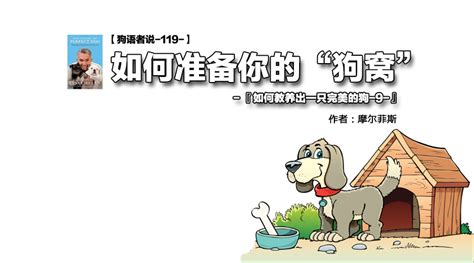 狗窩咳嗽怎么治療方法,狗窩咳在家治療的最佳辦法縮略圖