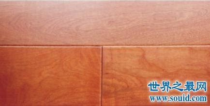 實木地板品牌十大排名(實木地板品牌十大排名榜)縮略圖 實木地板品牌十大排名(實木地板品牌十大排名榜)縮略圖