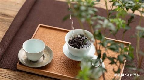 漳平水仙茶怎么泡才正確(漳平水仙茶屬于什么茶)縮略圖