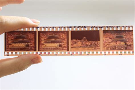 膠片是什么(膠片是什么材料)縮略圖