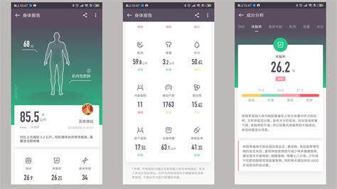 綠瘦體脂秤app下載,綠瘦體脂秤app下載蘋果版縮略圖