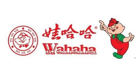 哇哈哈哈歌曲原唱,娃哈哈歌曲原版縮略圖