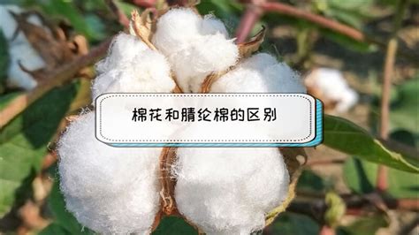 保溫棉和隔熱棉的區別,保溫棉和隔熱棉的區別?縮略圖