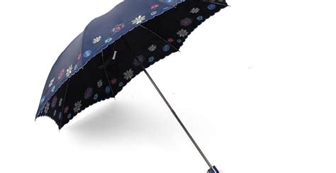 雨傘什么牌子的質(zhì)量好(雨傘什么牌子的質(zhì)量好又便宜)縮略圖