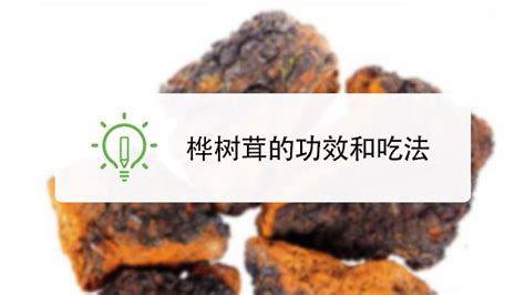 樺樹茸的正確吃法和禁忌(樺樹茸的副作用及其危害)縮略圖