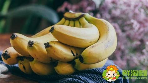 蘋果蕉怎么催熟最快,青蘋果蕉在家里怎么催熟縮略圖