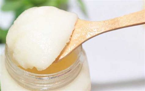 椴樹蜜500g多少錢(椴樹蜜500克多少錢)縮略圖
