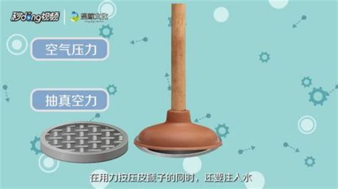 皮搋子的正確使用方法(皮搋子的正確使用方法視頻)縮略圖