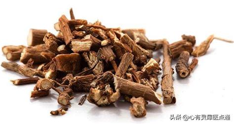 蘋果醋減肥真的可以減肥嗎,益生菌蘋果醋減肥真的可以減肥嗎縮略圖