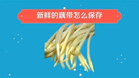 藕帶怎么保存比較新鮮(藕帶怎么炒好吃又簡(jiǎn)單)縮略圖