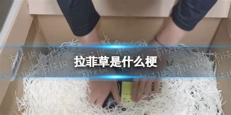 拉菲草什么梗(拉菲草什么梗視頻)縮略圖