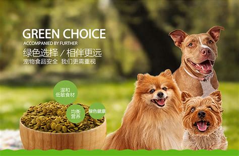 耐威克狗糧屬于什么檔次,十大毒狗糧都有哪些牌子縮略圖