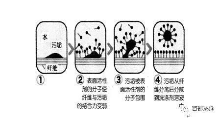 洗潔精的主要成分(洗潔精的主要成分化學式)縮略圖