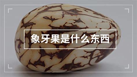 象牙果玉化后圖片(象牙果玉化后圖片怎么辨別)縮略圖