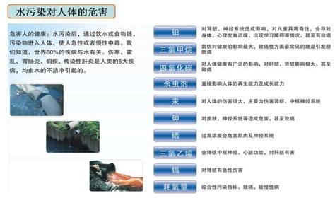 青金石對人體的危害(青金石對人體的危害有哪些)縮略圖