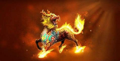 玉麒麟的寓意和象征意義,植物玉麒麟的寓意和象征意義縮略圖