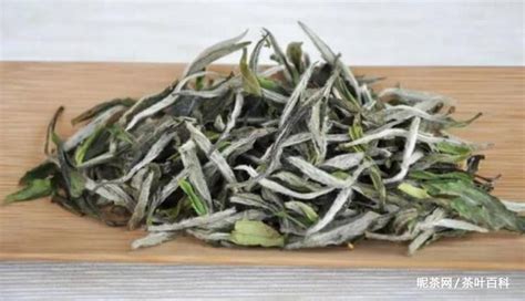 白毫銀針產(chǎn)地在哪里(四川白毫銀針產(chǎn)地在哪里)縮略圖