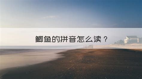 好多魚的拼音怎么寫(好多魚的拼音怎么寫的)縮略圖