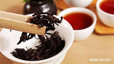 普洱茶的正確喝法,普洱茶的正確喝法怎么喝縮略圖