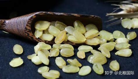 皂角米是什么顏色(皂角米是什么顏色的)縮略圖