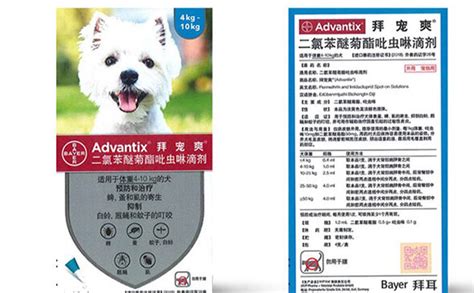 拜寵清幼犬驅(qū)蟲藥怎么使用(拜寵清幼犬體內(nèi)驅(qū)蟲藥多久吃一次)縮略圖