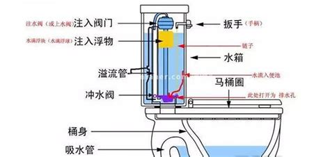 馬桶漏水的原因和處理方法(馬桶漏水的原因和處理方法視頻)縮略圖