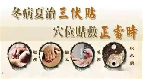 三伏貼成分有哪些,三伏貼里面有哪些成分縮略圖