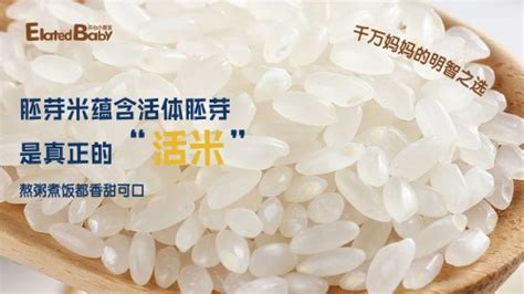 胚芽米的營養價值及功效(燕麥胚芽米的營養價值及功效)縮略圖