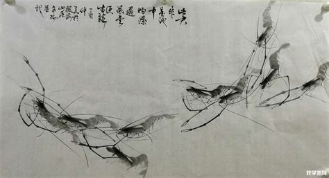 水墨畫蝦(水墨畫蝦的畫法)縮略圖