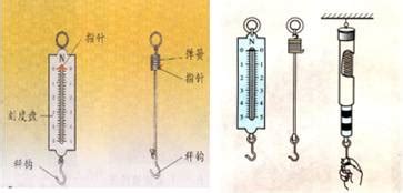 彈簧秤的使用方法視頻,彈簧秤的使用方法縮略圖