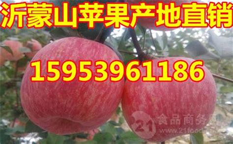 紅富士蘋果最新價格(紅富士蘋果最新價格行情)縮略圖