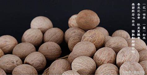 菩提根怎么辨別真?zhèn)?菩提根怎么辨別真?zhèn)尾粺?縮略圖