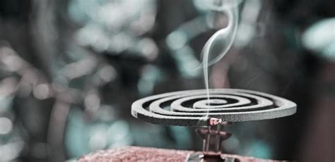 蚊香液對人體有哪些危害,誤食蚊香液對人體有哪些危害縮略圖