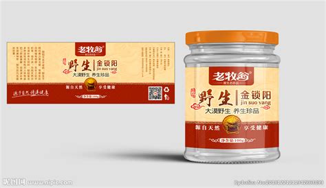 金鎖陽(金鎖陽的功效與作用)縮略圖
