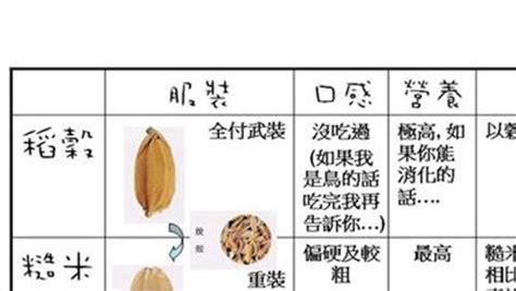 胚芽米保質期一般是多久,為什么不建議吃胚芽米縮略圖
