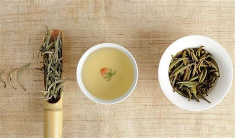 白牡丹茶怎么泡(白牡丹茶怎么泡最好)縮略圖