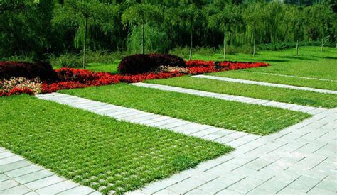植草磚價(jià)格(植草磚價(jià)格最新報(bào)價(jià))縮略圖
