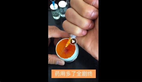 水床孵化器孵化小雞教程(水床孵化器孵化小雞教程視頻)縮略圖
