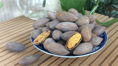 香榧子的副作用與危害,香榧子的副作用與危害有哪些縮略圖
