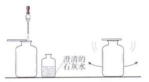 石灰水與二氧化碳反應(石灰水與二氧化碳反應是什么反應)縮略圖