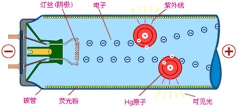 熒光燈和led燈的區別,熒光燈和led燈的區別是什么縮略圖