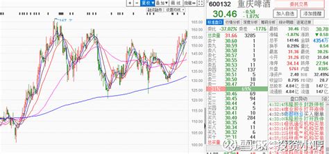 重慶啤酒股票基本面分析報告,重慶啤酒股票基本面分析報告作業縮略圖