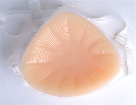 義乳怎么購買正品(義乳怎么購買正品的)縮略圖
