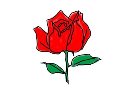 玫瑰花簡筆畫,玫瑰花簡筆畫 簡單漂亮縮略圖